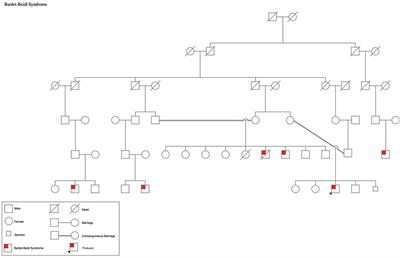 Bardet-Biedl syndrome in a 19-year-old male: the first case report from Palestine